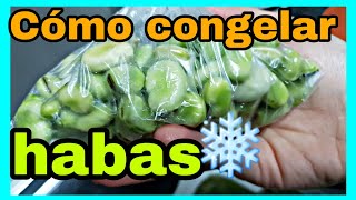 Cómo CONGELAR HABAS sin vainas  Congelar verduras fácil [upl. by Eahc]