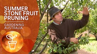 How to prune stone fruit trees in summer [upl. by Sebastiano]