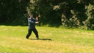 Wudang Tai Chi Handform  Kapser Larsenmpg [upl. by Soirtemed]