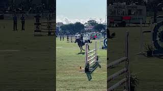 Horse Show Jumping horseshow perth perthroyalshow [upl. by Nywra]