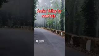 Araku Valley by road trip travel nature vizagdikshithatourism youtubeshort arakuvalley [upl. by Akselaw489]