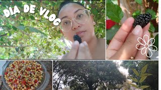 Um vlog do jeito que vocês gostam Teve até receita de peixe 🐠 [upl. by Saiff]