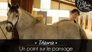 • THÉORIE • Un point sur le pansage [upl. by Dita]