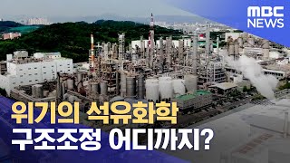 위기의 석유화학구조조정 어디까지 20240509뉴스데스크울산MBC [upl. by Guimar]