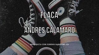 FLACA  ANDRES CALAMARO  LETRA [upl. by Fair97]