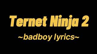 Ternet Ninja 2  badboy  lyrics [upl. by Rabbi]