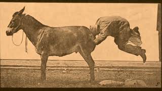 EADWEARD MUYBRIDGE MULE KICKING [upl. by Bebe]