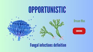 Opportunistic fungal infections definition  Dream Max [upl. by Raynold]