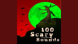 Scary Sounds Banging Big Door  Sound Effect [upl. by Nepil]