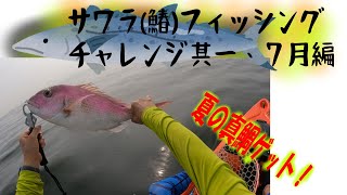 【サワラ回遊】東京湾カヤックフィッシング [upl. by Fortier]