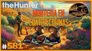 MUFLONES Y CORZOS DE MONTERÍA EN CUATRO COLINAS  🦌theHunter CotW 581 [upl. by Hussein457]