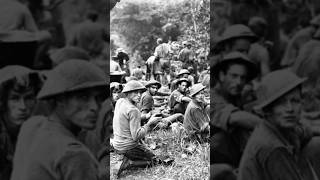 Australias WWII Campaign in Papua [upl. by Joelle]