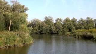 Biesbosch  Holland [upl. by Sile]