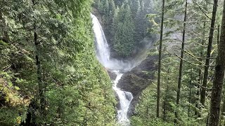 Wallace Falls Trail  4K  Virtual Walking  Hiking  Dog  ASMR [upl. by Shaylyn]