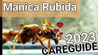 Manica Rubida  Careguide 2023 [upl. by Allekram]