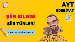 10 ŞİİR BİLGİSİ VE ŞİİR TÜRLERİ [upl. by Amethyst]