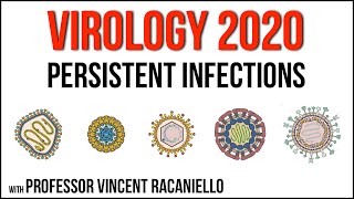 Virology Lectures 2020 17 Persistent infections [upl. by Enicnarf965]