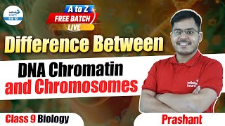 Difference Between DNA Chromatin and Chromosomes  Class 9 Biology  LIVE  InfinityLearn910 [upl. by Nayve]