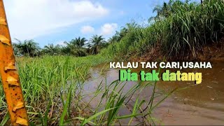 MENJARING IKAN UNTUK DIBUAT PERKASAM‼️REZEKI SEbelum BANJIR [upl. by Sagerman85]