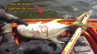 Pesca sub Robalo e Xaréu SPEARFISHING BRAZIL [upl. by Feenah331]