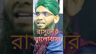 রাসুলের ভালোবাসা Maulana Ghazi Suleman Al Qadri abdullahhdtv [upl. by Claudy]