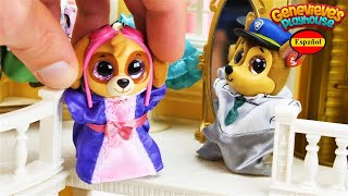 Video Educativo para Niños  los Cachorros van de Compras con Paw Patrol [upl. by Borras]