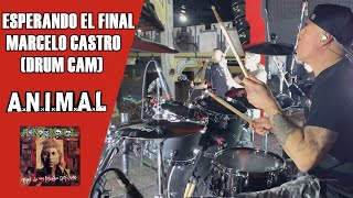 🚨 ANIMAL  ESPERANDO EL FINAL Marcelo Castro Drum Cam Prueba De Sonido Auditorio Oeste 🥁 [upl. by Othella]