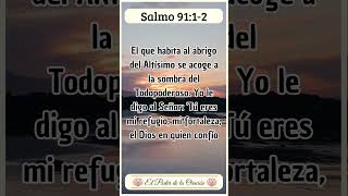 Mensaje Bíblico de hoy Salmo 91 12 Fe VersiculoDeLaBiblia TextosBiblicos EstudioBiblico [upl. by Brady990]