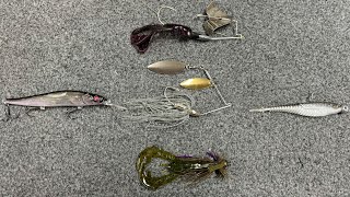 Top 5 Baits For November Bass Fishing [upl. by Neenej]