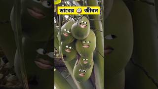 ডাবের 🥥 জীবন 😂  funnyvideo comedy [upl. by Kwok877]