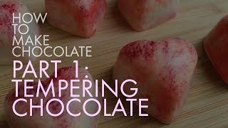 Tempering Chocolate  How to Make Chocolate [upl. by Annaehr970]