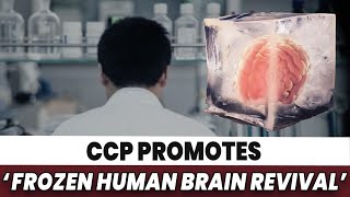 CCP Promotes ‘Revival Of Frozen Human Brain’CCP Proposes Reemployment For Young Elderly 60 To 70 [upl. by Ades]