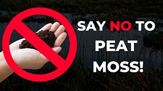 Why I Stopped Using Peat Moss [upl. by Schulz]