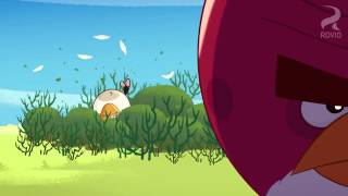 13 Gardening with Terence  Angry Birds HD [upl. by Adolfo932]