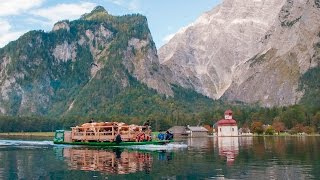 Almabtrieb Berchtesgaden Koenigssee [upl. by Niliac749]