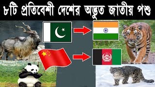 ৮টি প্রতিবেশী দেশের অদ্ভুত জাতীয় পশুNational animal facts of Neighbor countriesBengali [upl. by Ylicec]