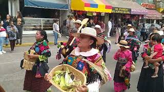 Desfile de la feria de Ixtlahuaca de Rayón estado de México [upl. by Etolas504]