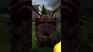 Ranking the Most Colossal Zoochosis Creatures in GMod [upl. by Arrek]