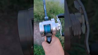 2008 Daiwa Ryoga Bait Casting reels ตึงมือสุดเลยรุ่นนี้ shots fishing [upl. by Rotce]