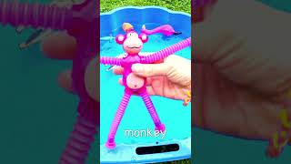 Learn Animal Names for Kids Flamingo Chameleon Gecko Giraffe Monkey Alpaca Koala [upl. by Nil]