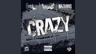 CRAZY feat Millyz amp Hazardis Soundz [upl. by Ause]