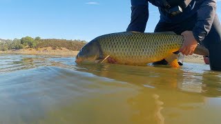 Fall Carp Fishing Campaign Part 1 [upl. by Leduar]