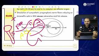 Physiology  Lecture 12  Revision [upl. by Anafetse]