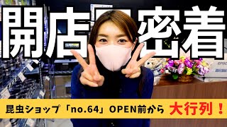 昆虫ショップ「no64」の開店日に密着！かんたまる家のクワガタ入り福袋は売れるのか！？／カブトムシ／オオクワガタ／昆虫飼育／ガチャ／横浜市瀬谷区 [upl. by Joses]