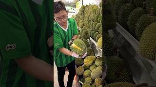 Durian heaven The Most Popular Durian Store in Malacca Malaysia  Fruit Cutting Skills [upl. by Evelyn]