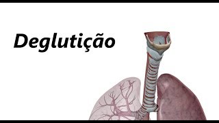 Deglutição em 3D [upl. by Nmutua431]