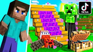 NEW VIRAL TIKTOK MINECRAFT HACKS IN MINECRAFT  HINDI  PROBOIZ 95 [upl. by Mccutcheon]