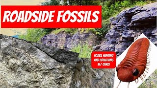 Roadside Fossils Fossil Hunting and Fossil Collecting with Chris Road Side Fossils Trilobites Coral [upl. by Dawkins]