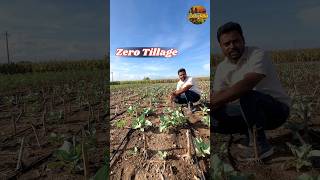 జీరో టిల్లేజ్ విధానం shorts tillage youtubeshorts agriculture telugu farming horticulture [upl. by Bihas]