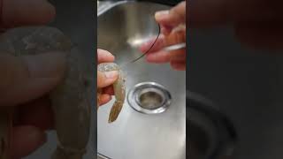 🦐 how to devein shrimp fast with shell on using toothpick [upl. by Akenit]